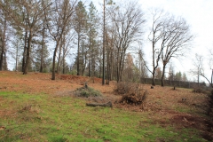 Neighboring-Land-1