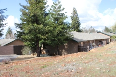 East Side of Camino Properties 1