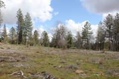 East Side of Camino Properties 5