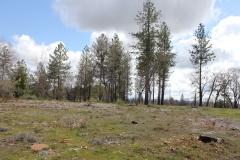 East Side of Camino Properties 6