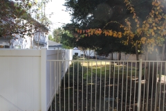 Rear Yard Buildings 1 & 8