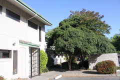 Location 2 - 505 Wall St - Exterior