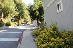 Orchard Hill Apartments Entry